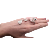 SmokSerduszko(2).png
