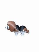 Beagle(1).jpg