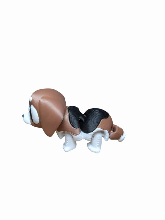 Beagle(1).jpg
