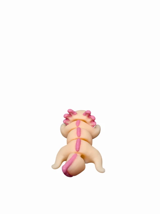 MiniAxolotl(3).jpg
