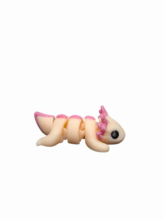 MiniAxolotl(1).jpg
