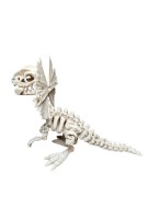 PXL_20260507_154547456.jpg