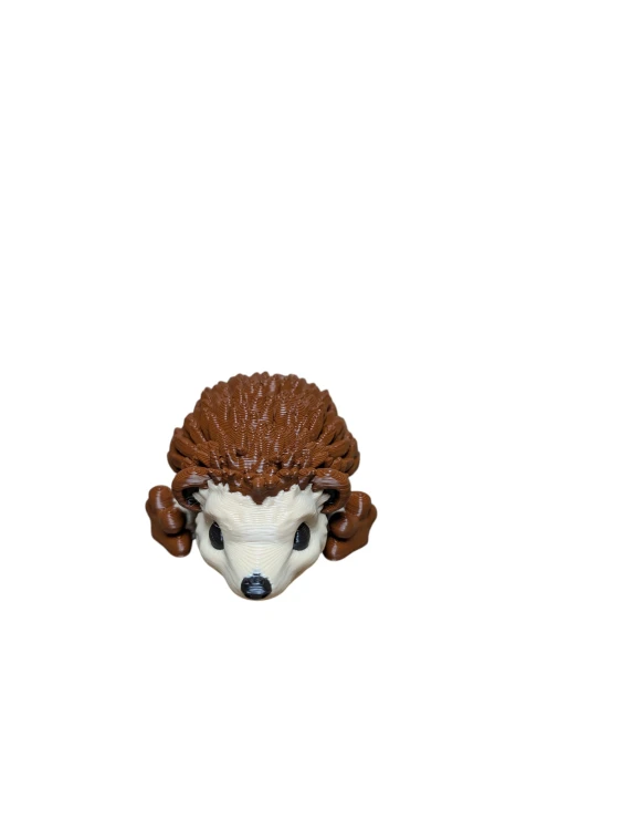 PXL_20260507_154446953.jpg