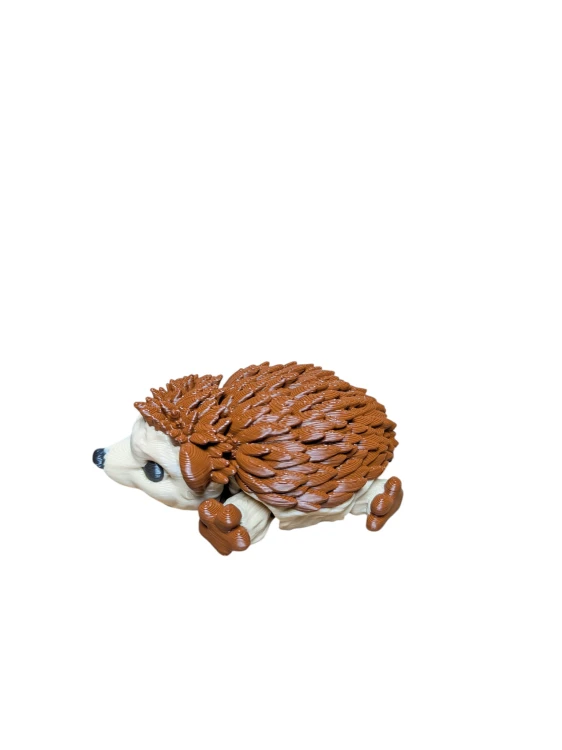 PXL_20260507_154454143.jpg