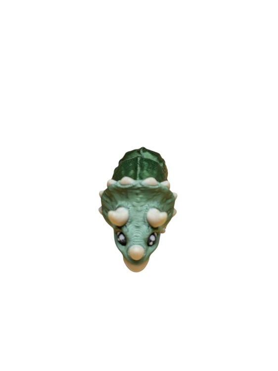 PXL_20260527_093331299.jpg